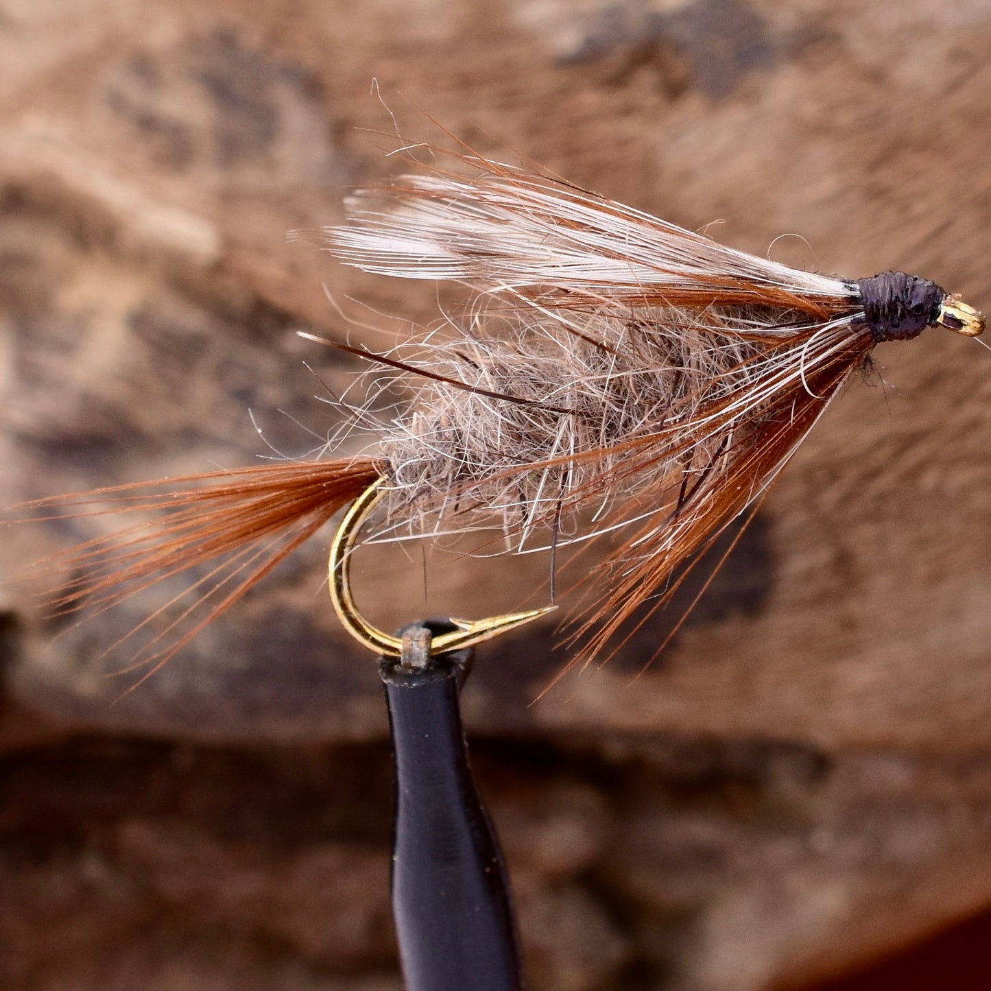 Sheepfly