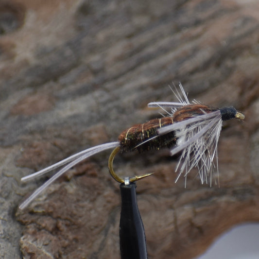 Kevin's Stonefly