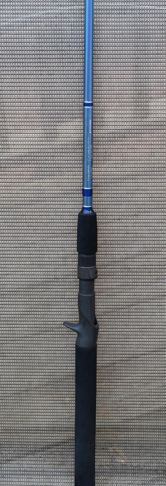 Jig and Worm Casting Rod
